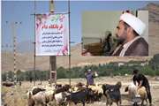نظارت شرعی روی دام‌های قربانی در روز عید قربان